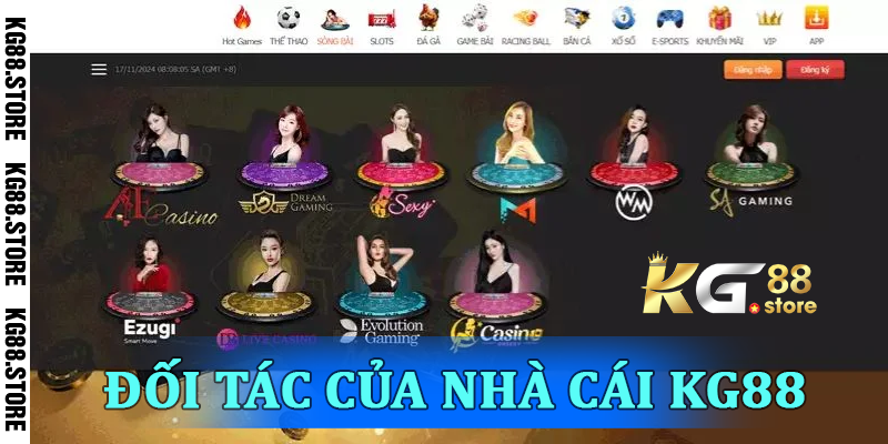 Hợp tác và đối tác chiến lược