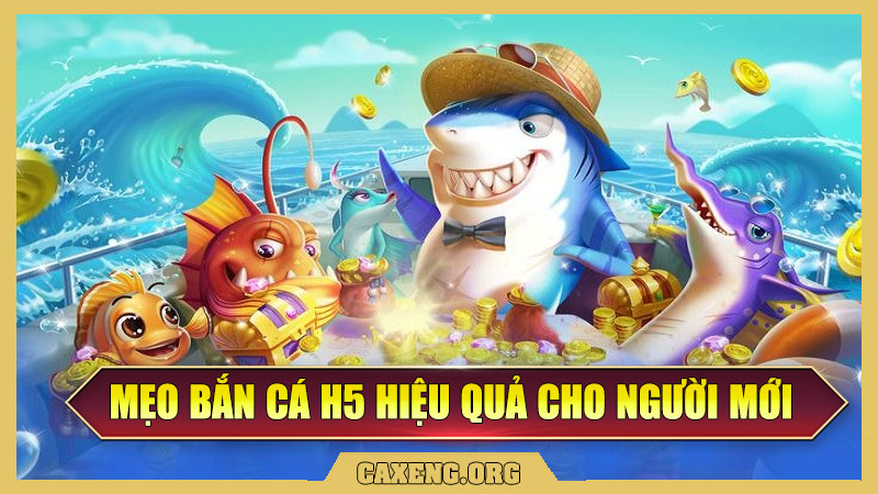 Mẹo Bắn Cá H5 Hiệu Quả Cho Người Mới